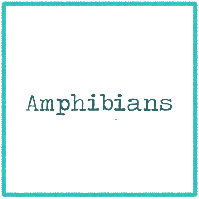 Find blog posts for teaching ideas shared for free